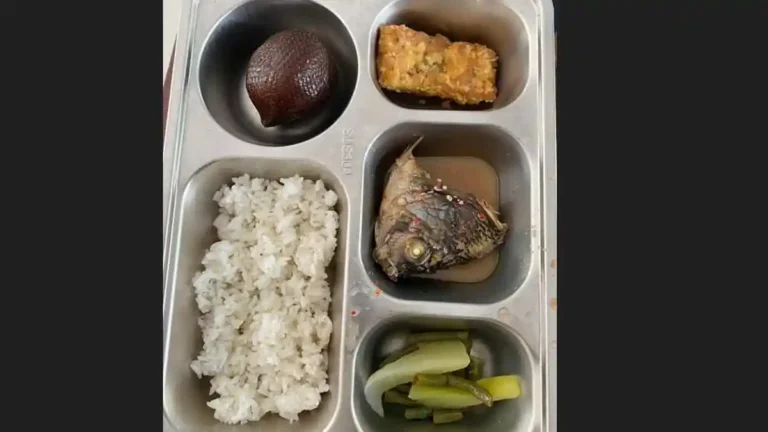 Menu-MBG-di-salah-satu-sekolah-di-Desa-Padang-Sipirok-Aek-Ledong-1