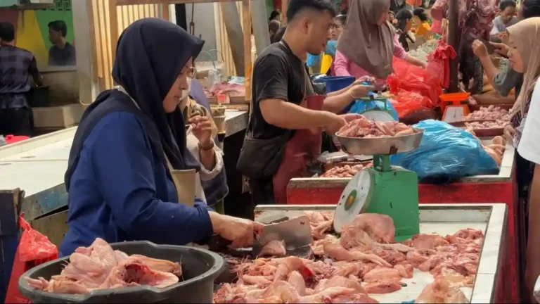 HARGA-AYAM-Aktivitas-jual-beli-ayam-potong-di