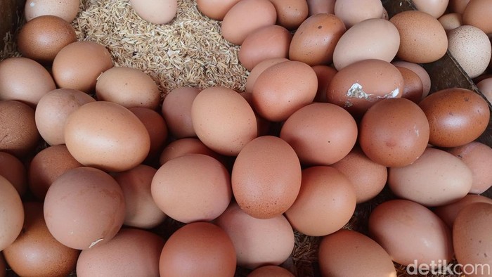 penampakan-telur-ayam-di-pasar-sukaramai-kota-medan-foto-juita-sinuhajidetiksumut-1783865563595_169
